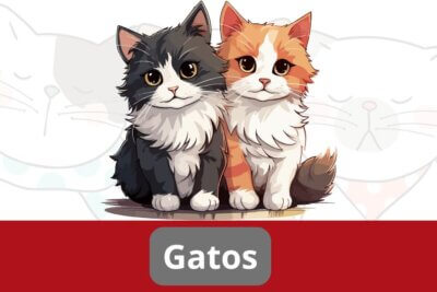 Dibujos de gatos para colorear e imprimir